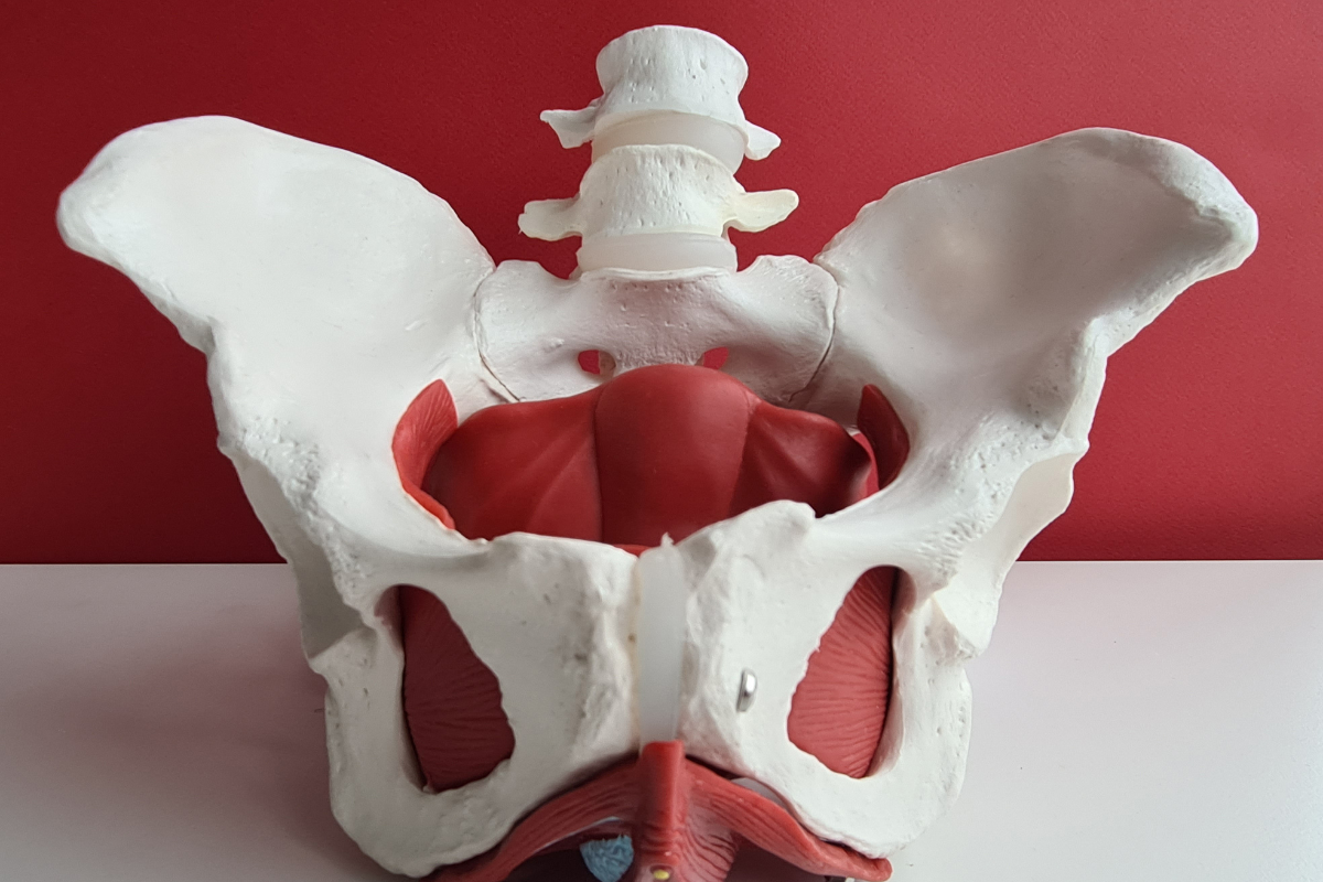 Top 10 Common Mistakes When Doing Pelvic Floor Exercises